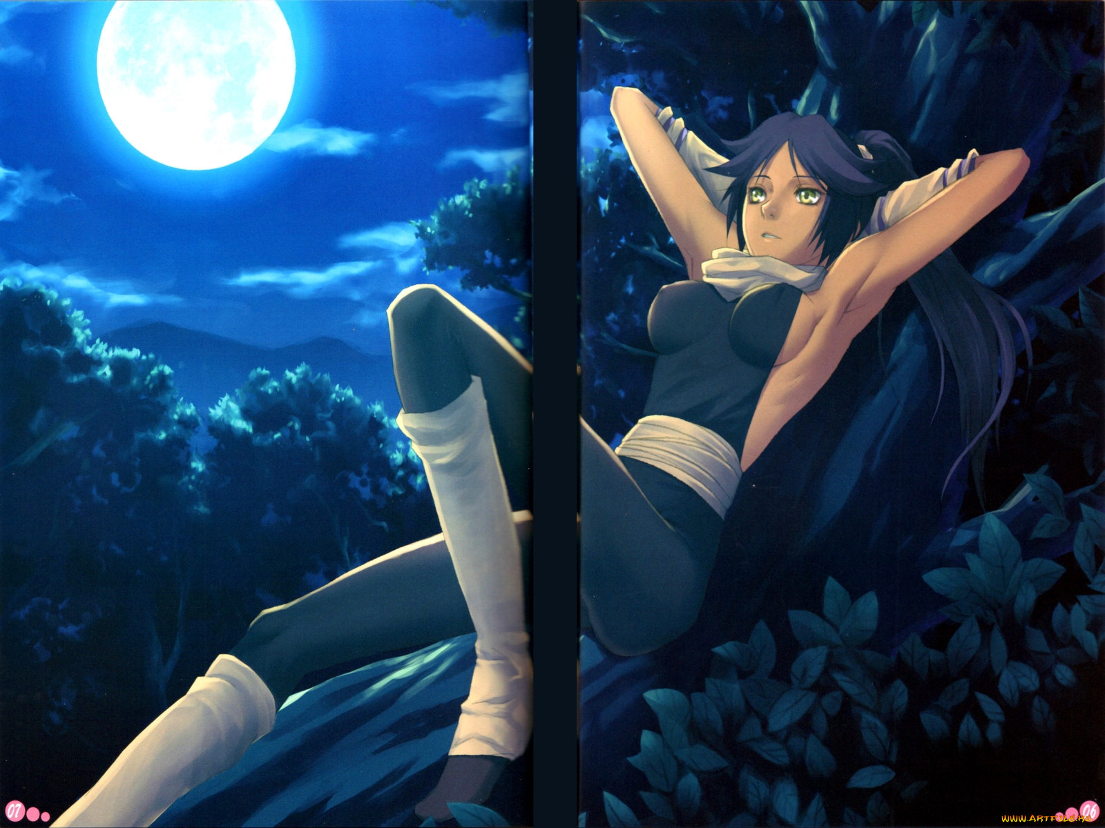 , bleach